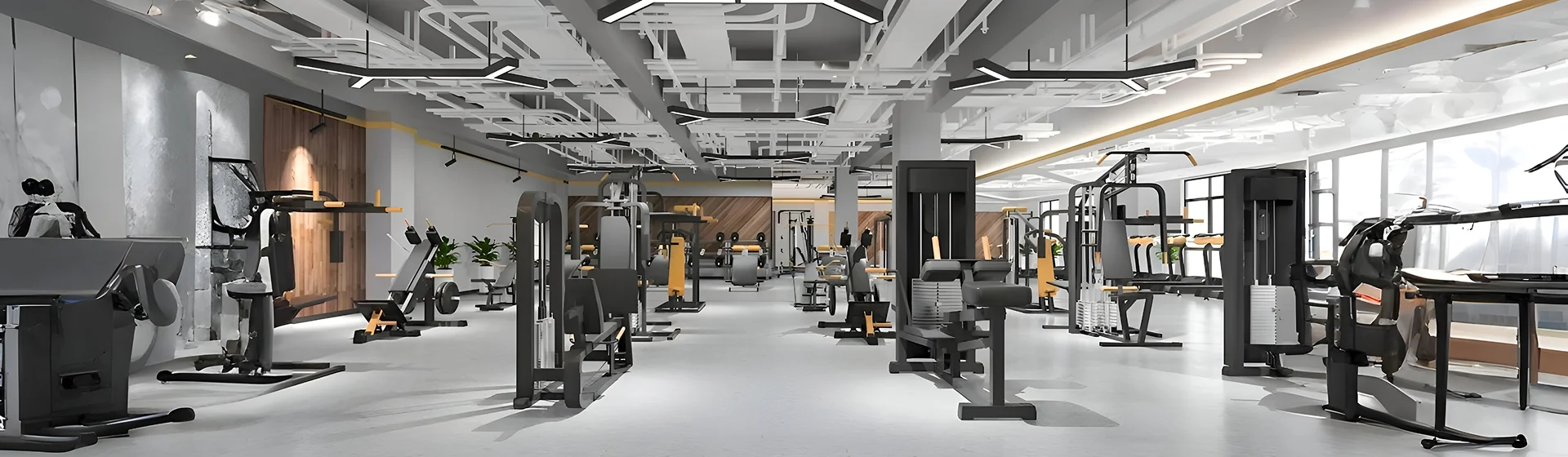 Fully equipped commercial gym floor with strength machines under modern lighting